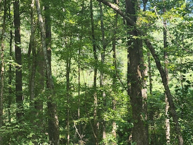 4.35ac State Park Rd, Tupelo, MS 38804 - photo 6