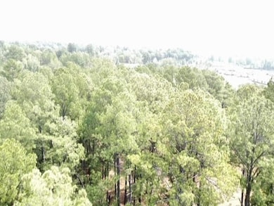 97825 TR PT 117 Hursey St, Jasper, TX 75951 - photo 7