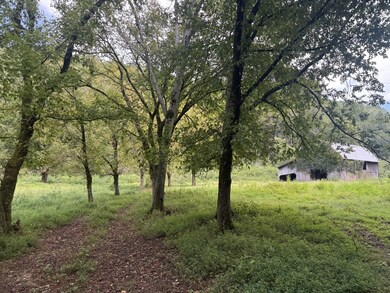 0 Hurricane Branch Ln unit RTC2988788, Gainesboro, TN 38562 - photo 4