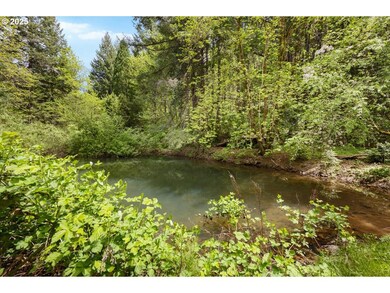 2128 Starveout Creek Rd, Azalea, OR 97410 - photo 2