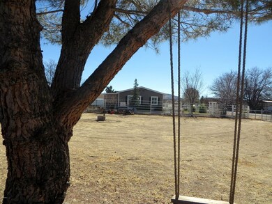 Tree swing west side of lot