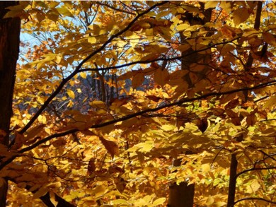 3 Old Post Rd, Newbury, NH 03255 - photo 3