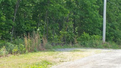 View from across the road from property