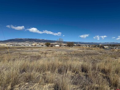 10.5 ac. LOT 1B 1525 Rd, Delta, CO 81416 - photo 6