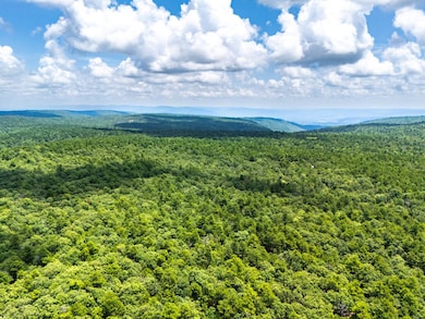 040 acers Maxwell Creek Rd, Clayton, OK 74536 - photo 3