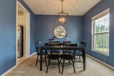 6 Steiner Ct, Algonquin, IL 60102 - photo 5