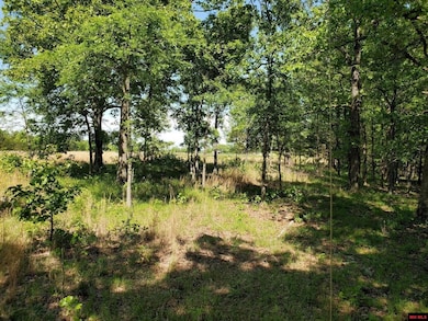 6537 Mount Calm Rd, Gepp, AR 72538 - photo 3