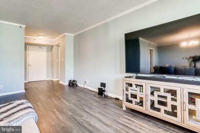 5501 Seminary Rd unit 2213S, Baileys Crossroads, VA 22041 - photo 7