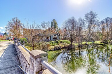 Pond behind the home!