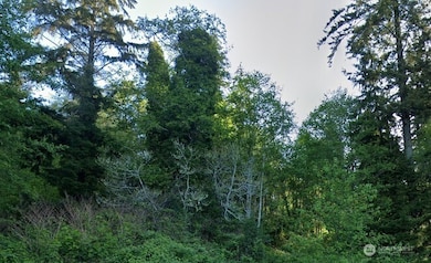 0 Cosgrove St unit NWM2403284, Hoquiam, WA 98550 - photo 5