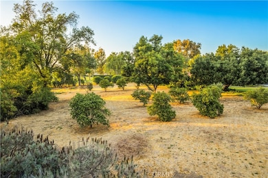 920 S Spring Meadow Dr, West Covina, CA 91791 - photo 6