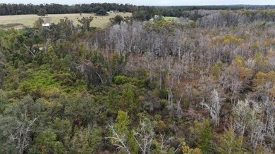 651 NW Flowers Rd, Madison, FL 32340 - photo 7