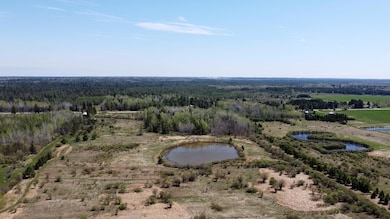 Pond 2