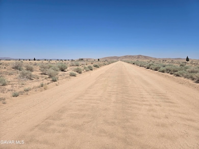 Ave E8 Vic 177 Stw, Fairmont, CA 93536 - photo 2