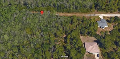 Drone / aerial view featuring a view of trees