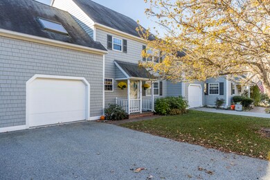 Exterior 8 Lupine