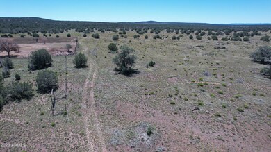 DJI_0795