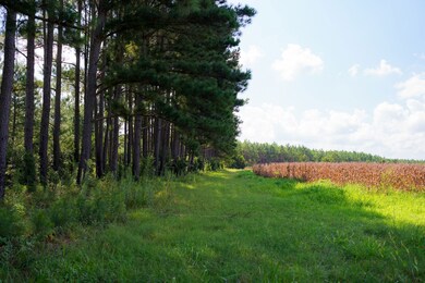 Gin Pond, Bluffton, GA 39824 - photo 7
