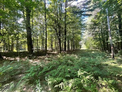 00 Mcmillan Rd, Whitingham, VT 05342 - photo 3