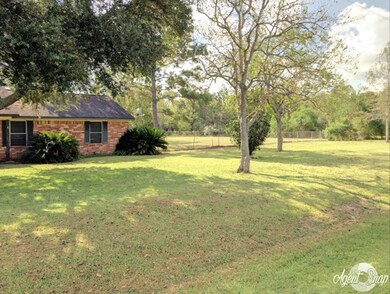 6723 County Road 707, Brazoria, TX 77422 - photo 3