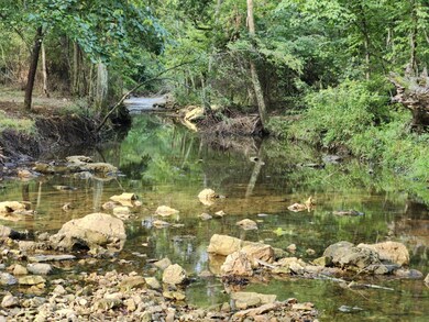 9551 C-Highway Ff, Mountain Grove, MO 65711 - photo 7