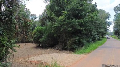 Tract A John D Wood Rd, Franklinton, LA 70438 - photo 4