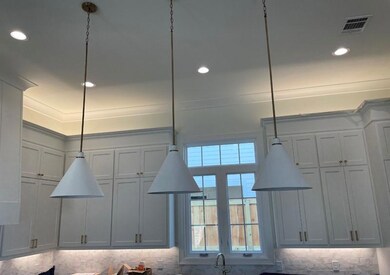 Pendants over island.