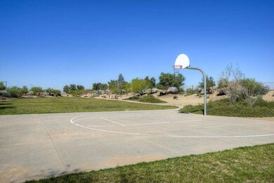 basketball court