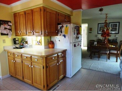 Kitchen View 2