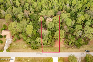 2000 Caracara, New Bern, NC 28560 - photo 2