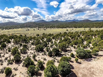 18751 Pine Valley Rd, Beryl, UT 84714 - photo 2