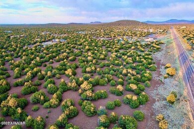 20230716040544296466000000-o