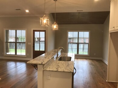 114 St Martin St, Madison, MS 39110 - photo 7