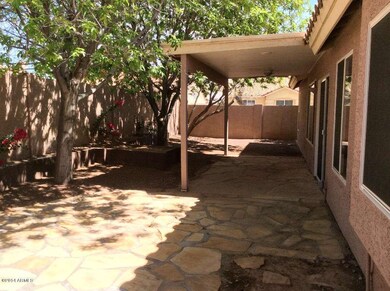 Backyard 1