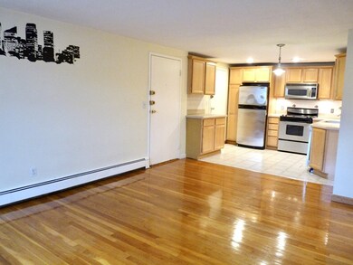 12 Riverside St unit 3-3, Watertown, MA 02472 - photo 4