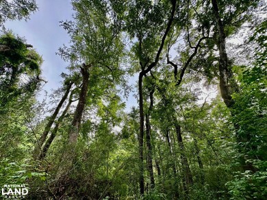 0 Bennett Colter Rd unit 25767774, Rentz, GA 31075 - photo 7