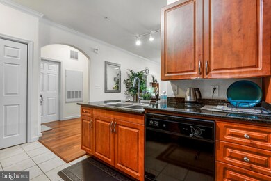 12956 Centre Park Cir unit 113, Herndon, VA 20171 - photo 6