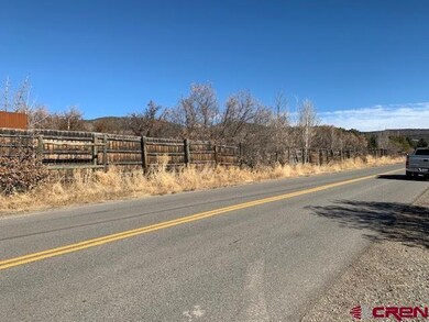 23687 Ute Trail Rd, Cedaredge, CO 81413 - photo 4