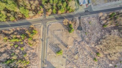 14608 Glacier Ridge Ln SE, Yelm, WA 98597 - photo 7