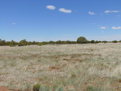 0 N 16th St unit 213147, Show Low, AZ 85901 - photo 7