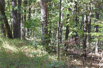 10 Kiswick Cir, Bella Vista, AR 72714 - photo 4