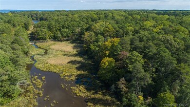 View of bird's eye view