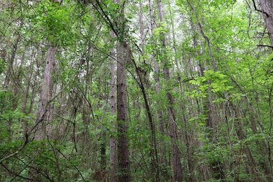 TBD Slay Rd, Olla, LA 71465 - photo 5