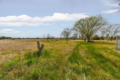 2913 County Road 179, Alvin, TX 77511 - photo 6