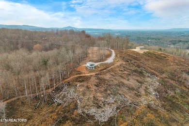 431 Bald Knob Mtn & Cummings Cove Rd, Doyle, TN 38559 - photo 4