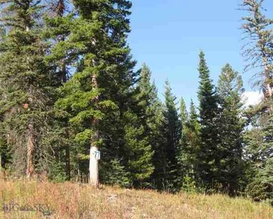 TBD Iris Meadow, Big Sky, MT 59716 - photo 6