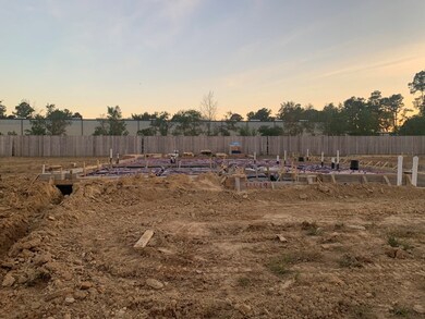 11419 Raven Claw Dr, Tomball, TX 77375 - photo 2