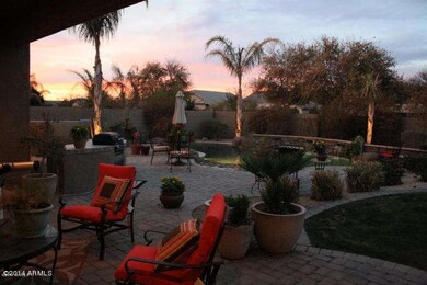 Backyard 1