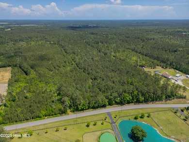 DJI_0099