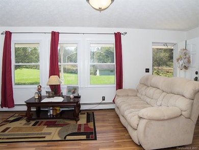 1183 Cane River School Rd, Burnsville, NC 28714 - photo 6